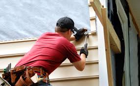 Best Historical Building Siding Restoration  in Bonsall, CA